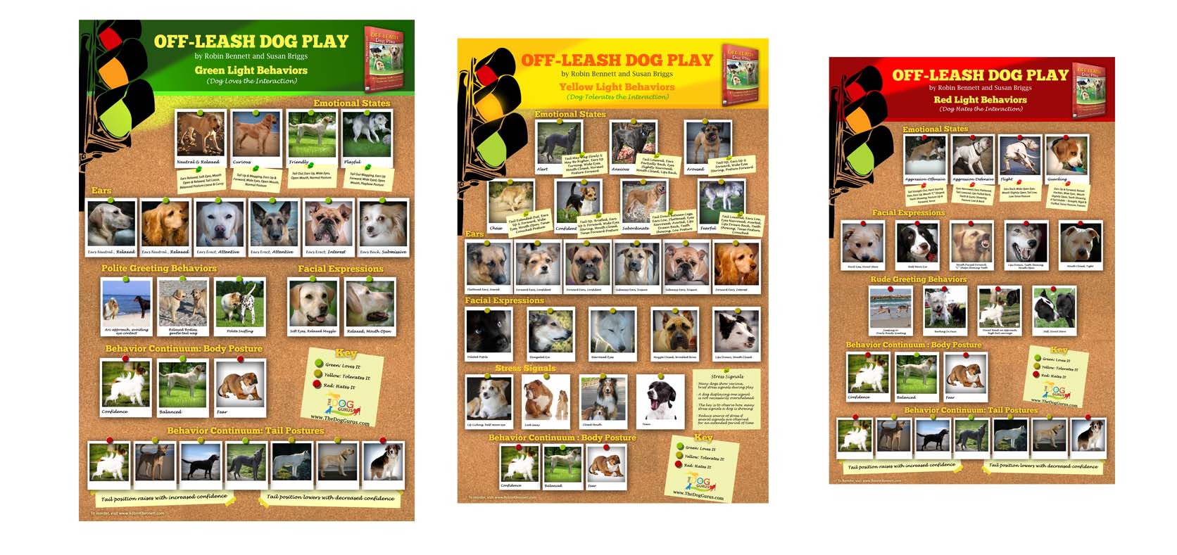 Dog Body Language Chart Pdf