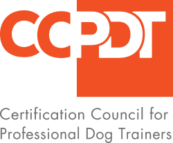 CCPDT Logo