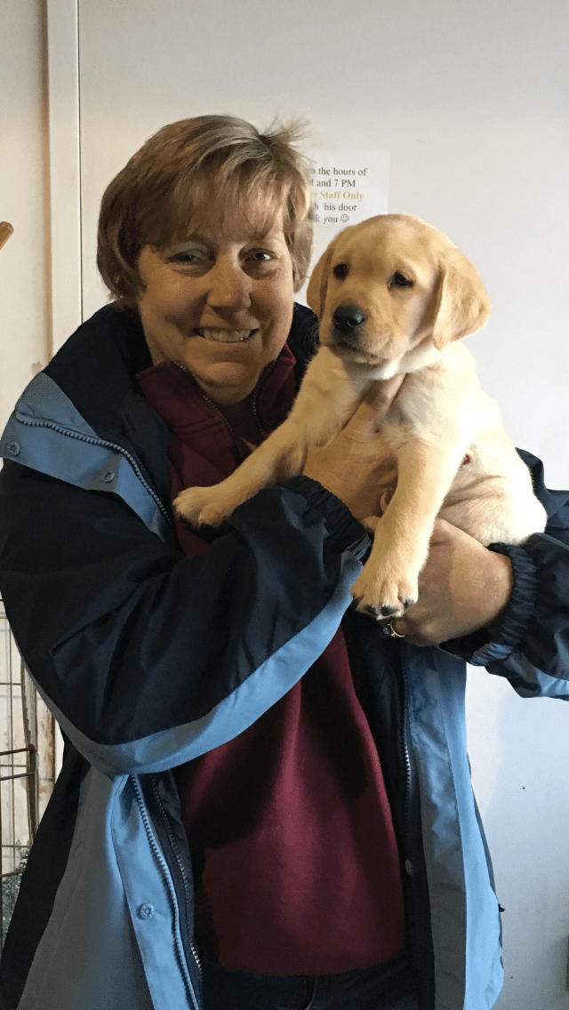 Robin with golden retrieve puppy