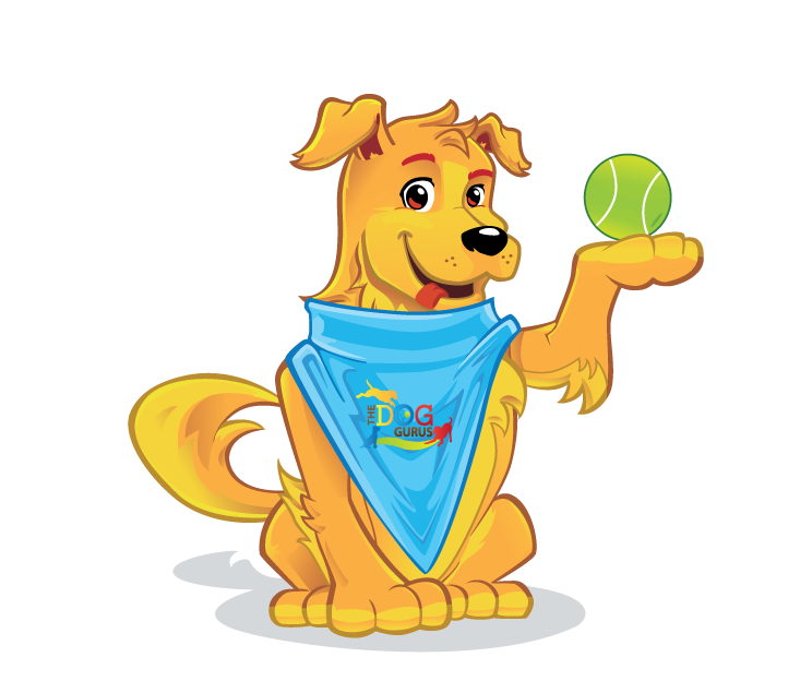 Griffin the dog holding a tennis ball in paw
